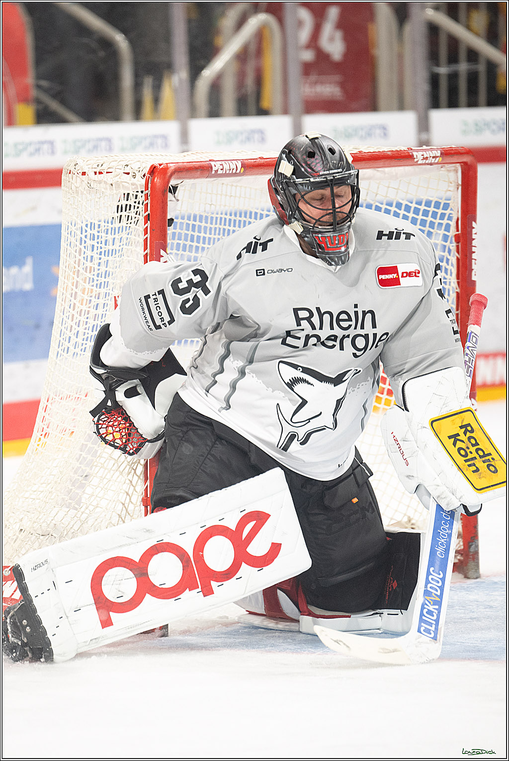 PENNY DEL; Duesseldorfer EG- Koelner Haie; Duesseldorf, 24.01.2025